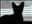 DevonRex