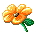 blomje