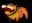 fido